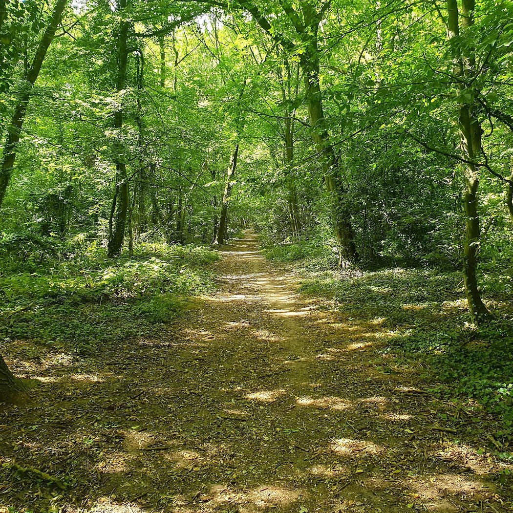 Parc du Gros Buisson 3